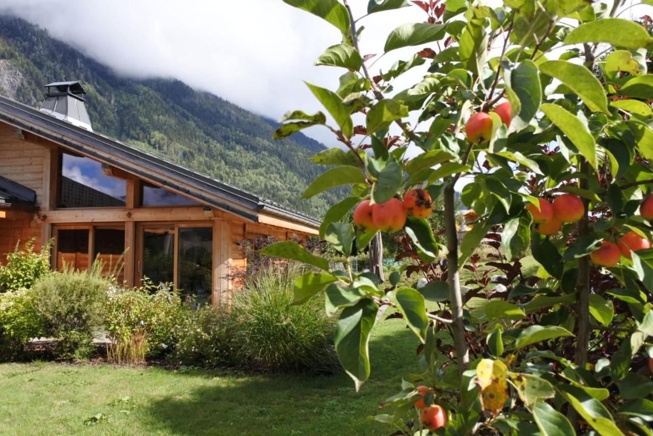 Grand Chalet Le Trappeur - Chamonix Exterior foto